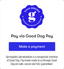 Australian Labradoodle Puppy Reservation Fee